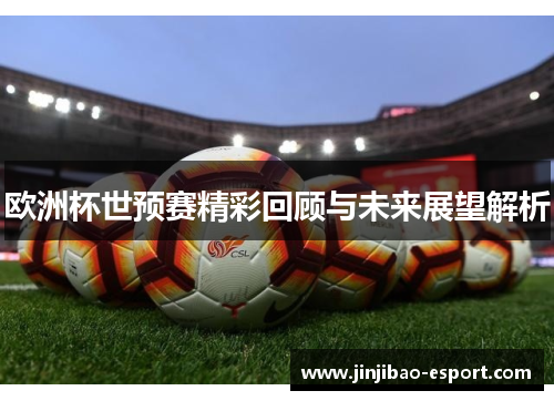 欧洲杯世预赛精彩回顾与未来展望解析