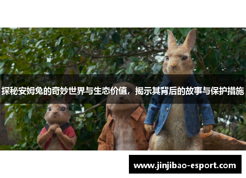 探秘安姆兔的奇妙世界与生态价值，揭示其背后的故事与保护措施