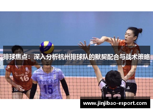 排球焦点：深入分析杭州排球队的默契配合与战术策略