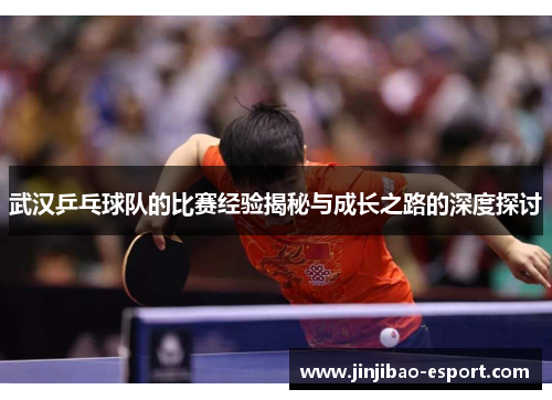 武汉乒乓球队的比赛经验揭秘与成长之路的深度探讨